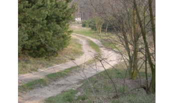 Działki Budowlane Czeszów (40 km od Wrocławia)